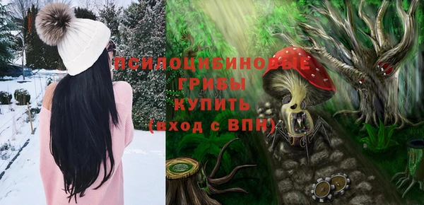твердый Каменка