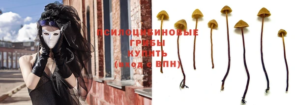 стафф Каменск-Шахтинский