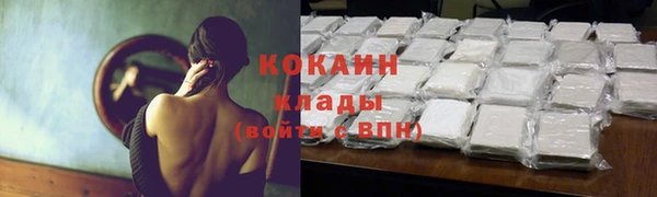 твердый Каменка
