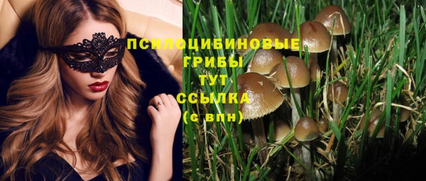 стафф Каменск-Шахтинский