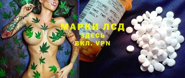 твердый Каменка